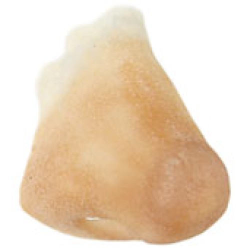 Grimas Latex Normal Nose (Grimas Latex Normal Nose 110)